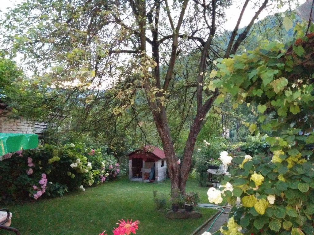 Pension Casa Anadam Бэиле-Еркулане Экстерьер фото