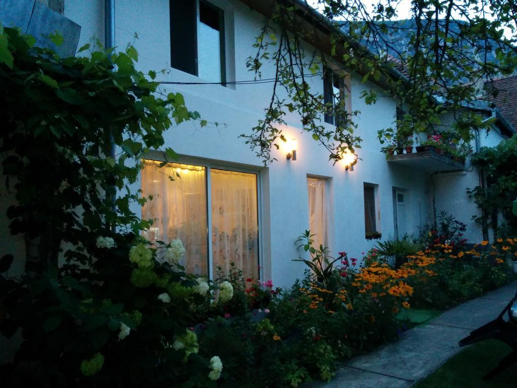 Pension Casa Anadam Бэиле-Еркулане Экстерьер фото