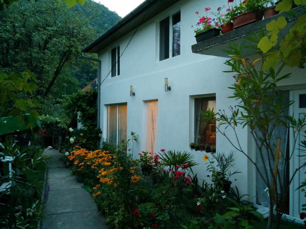 Pension Casa Anadam Бэиле-Еркулане Экстерьер фото