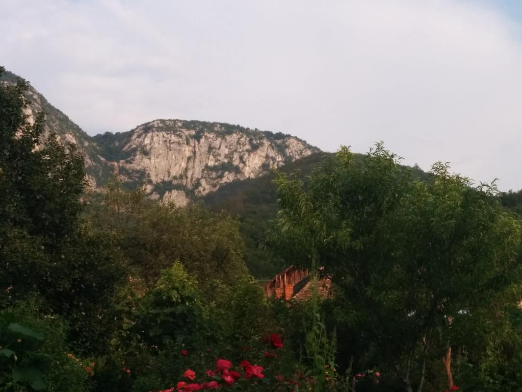 Pension Casa Anadam Бэиле-Еркулане Экстерьер фото